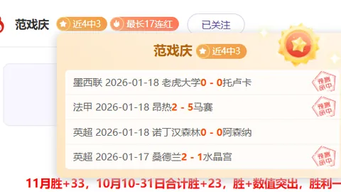翁泓阳马来西亚羽球赛不敌伍家朗