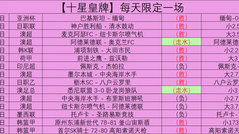 揭秘奇才与热火巅峰对决：探寻通往胜利的轨迹！